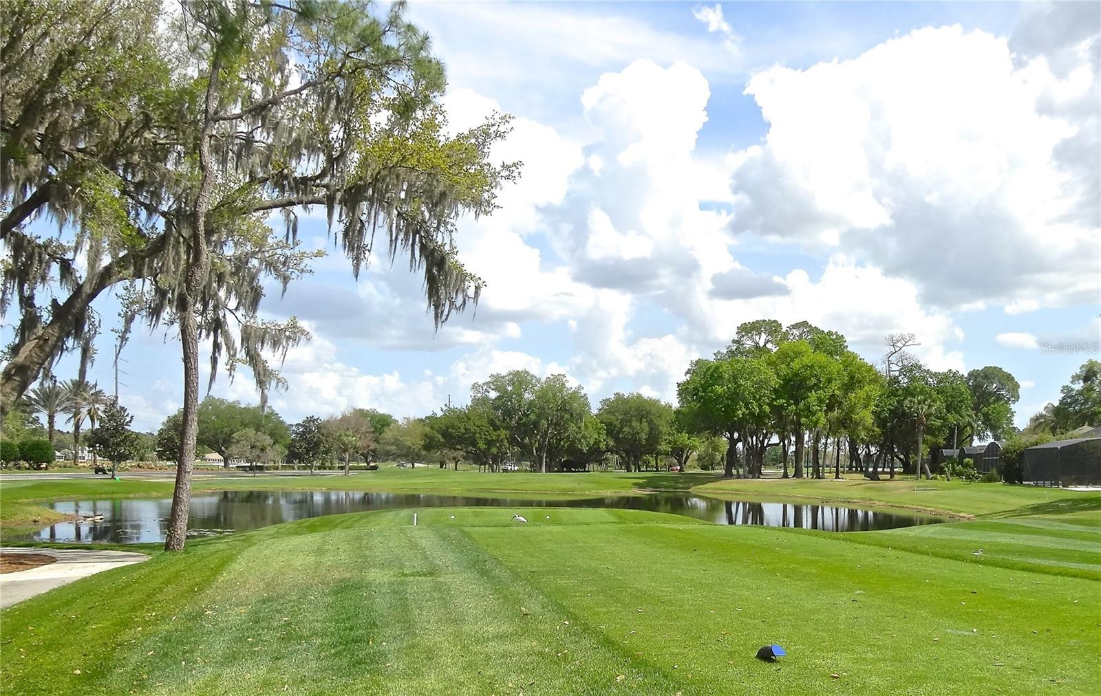 202 Acre Golf Course For Sale Near Disney World $8,721,500